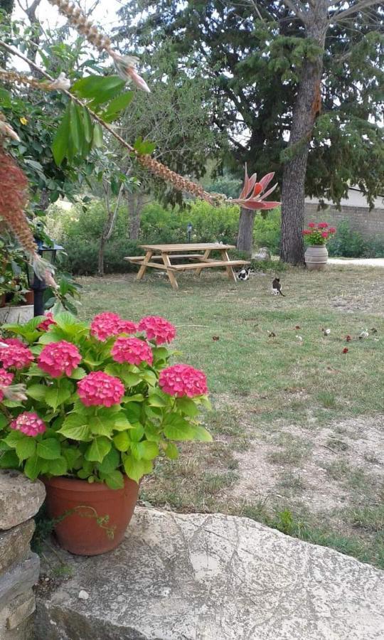 Monolocale Stiacce Apartment Saturnia Bagian luar foto