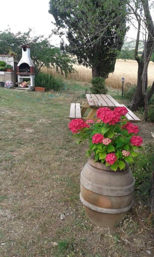 Monolocale Stiacce Apartment Saturnia Bagian luar foto